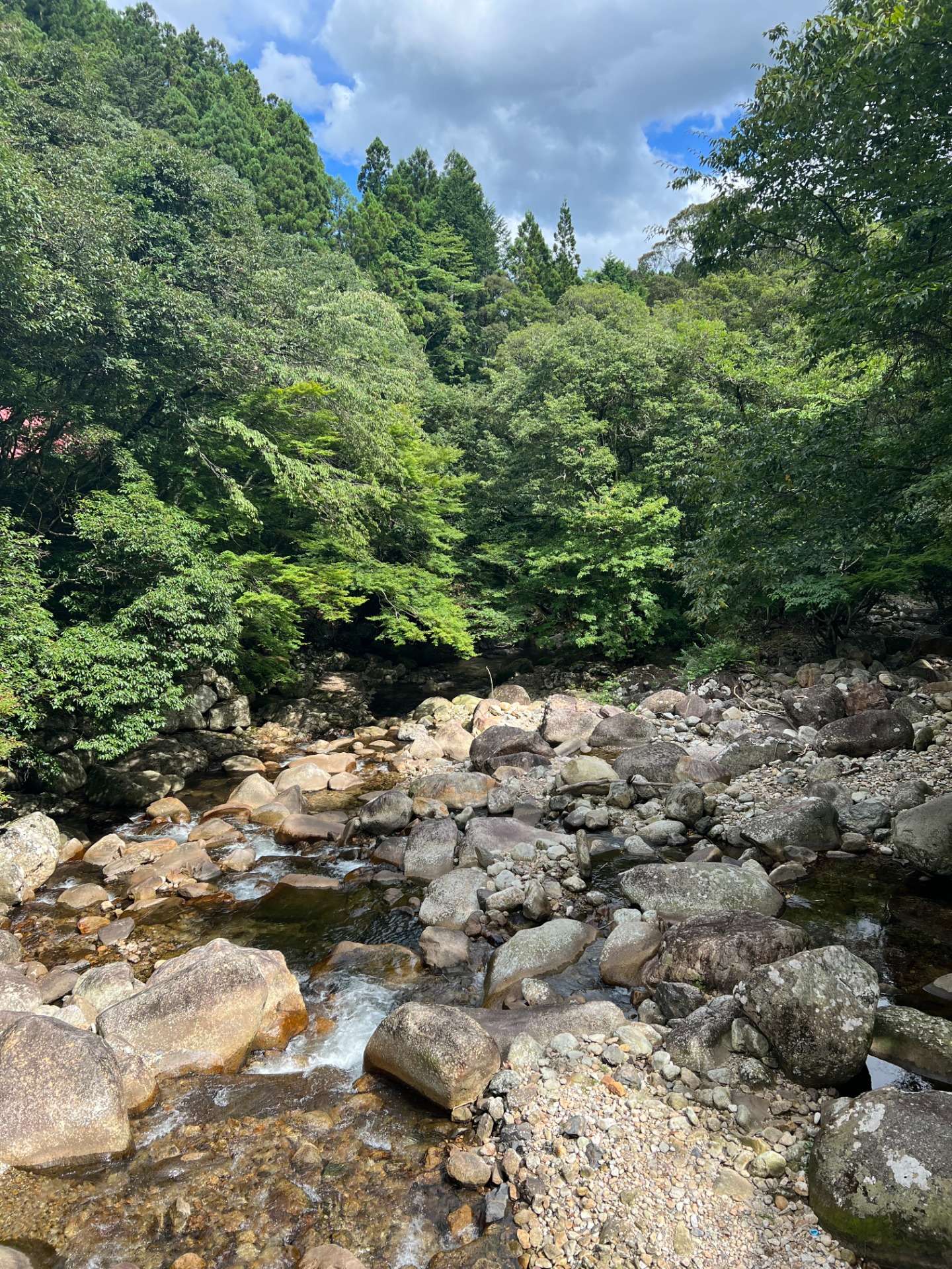 お盆休み終了！