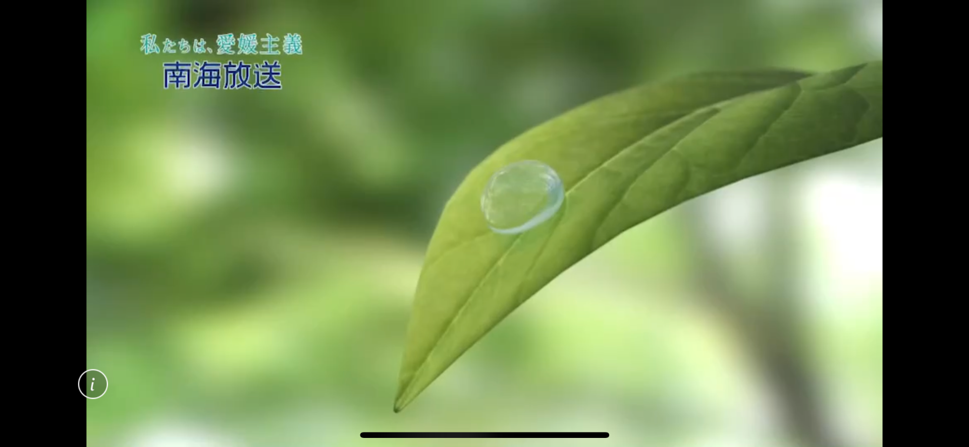 週末は24時間テレビ　愛は地球を救う